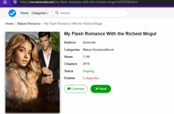 My Flash Romance With the Richest Mogul (Skylar and Joe) novel