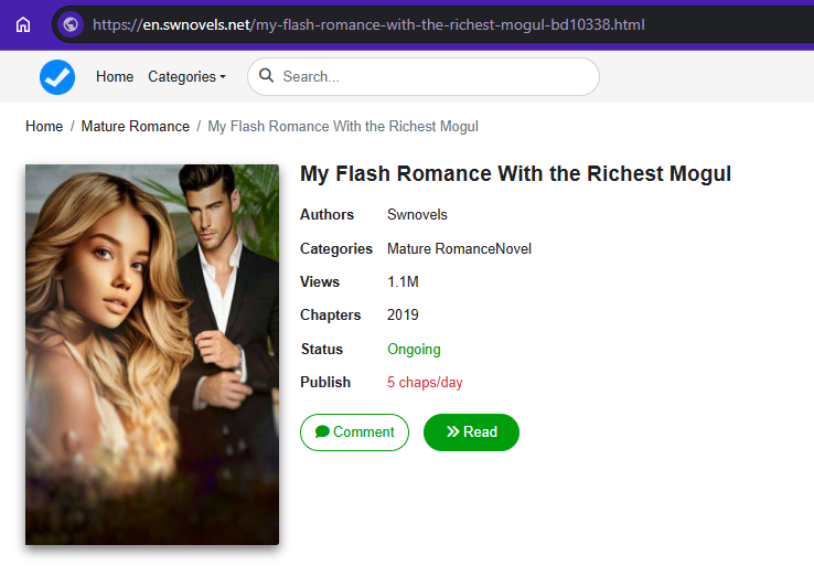 my flash romance with the richest mogul novel read online free english