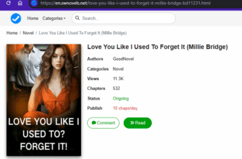 Love You Like I Used To Forget It novel by Millie Bridge